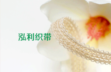 珠海泓利服饰股份有限公司